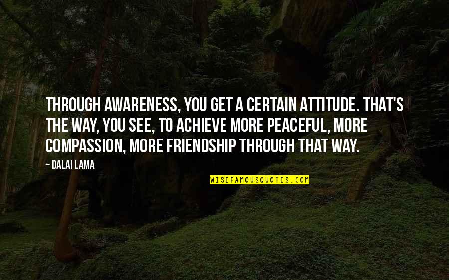 3 Way Friendship Quotes By Dalai Lama: Through awareness, you get a certain attitude. That's