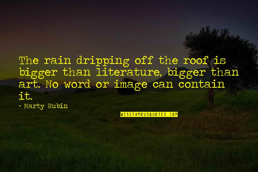 3 Word Art Quotes By Marty Rubin: The rain dripping off the roof is bigger