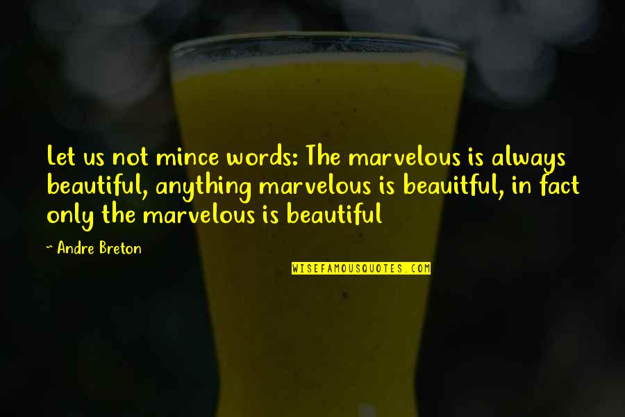 3 Words Beautiful Quotes By Andre Breton: Let us not mince words: The marvelous is