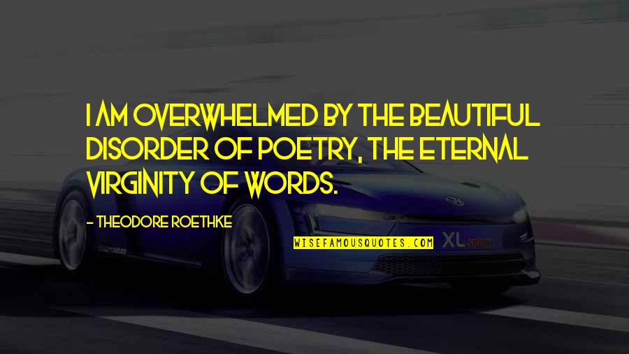 3 Words Beautiful Quotes By Theodore Roethke: I am overwhelmed by the beautiful disorder of