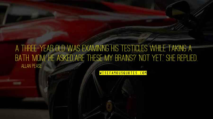 3 Years Old Quotes By Allan Pease: A three-year old was examining his testicles while