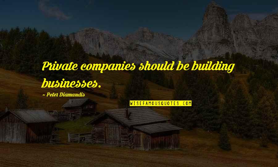 30 Seconds To Mars Famous Quotes By Peter Diamandis: Private companies should be building businesses.