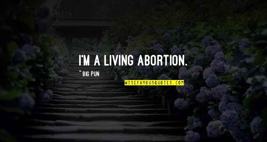 300 Hundred Quotes By Big Pun: I'm a living abortion.