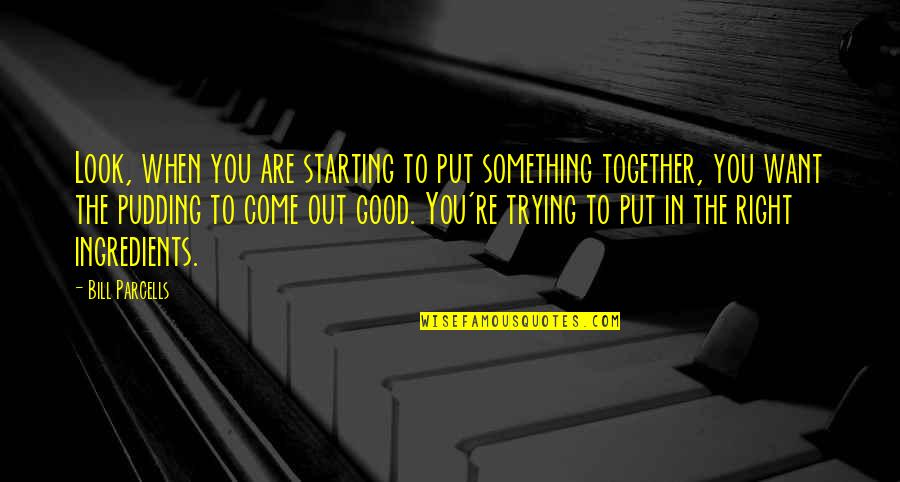 30ft Gooseneck Quotes By Bill Parcells: Look, when you are starting to put something 30ft Gooseneck Quotes By Bill Parcells: Look, when you are starting to put something