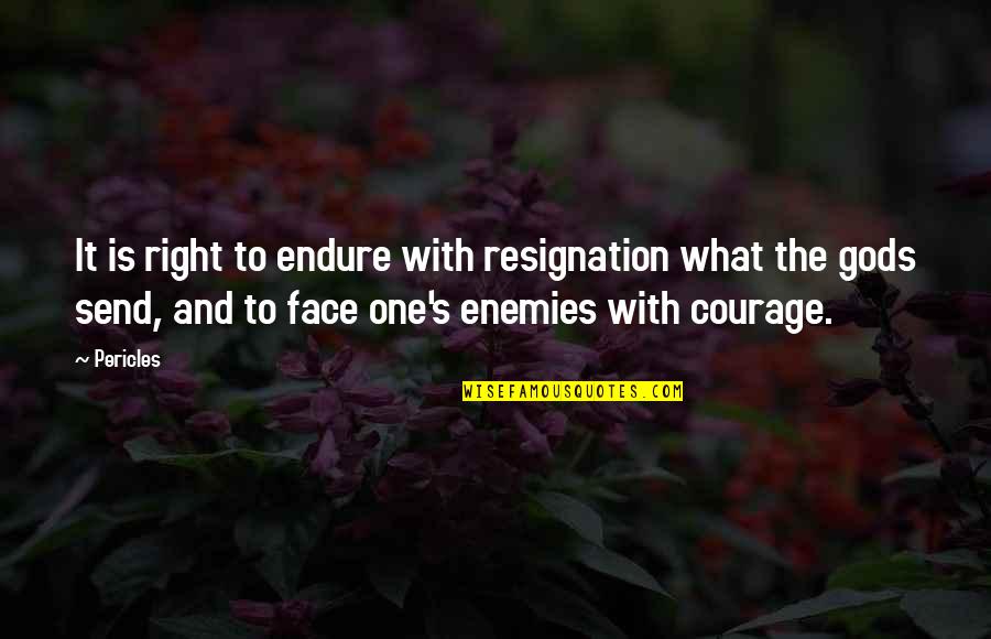 30th Wedding Anniversary Love Quotes By Pericles: It is right to endure with resignation what