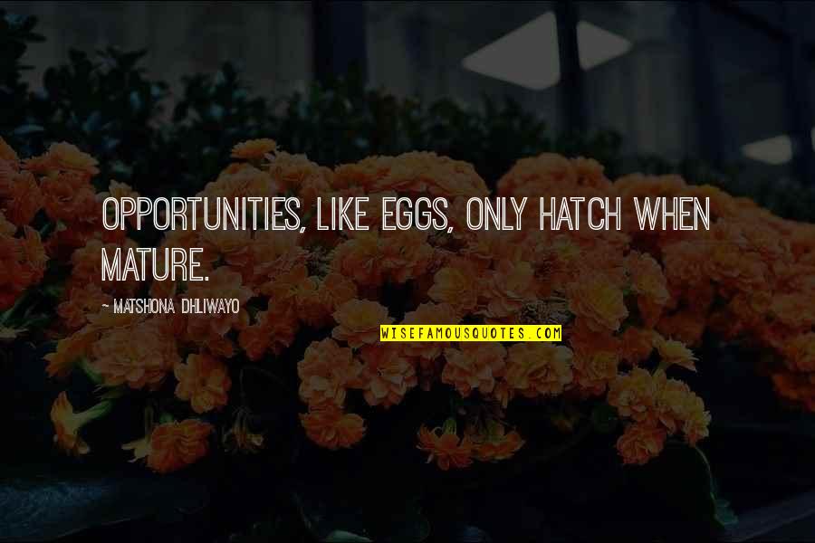 31 Days Of Inspirational Quotes By Matshona Dhliwayo: Opportunities, like eggs, only hatch when mature.