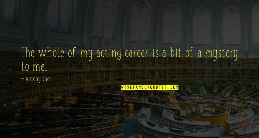 31 Inspirational Quotes By Antony Sher: The whole of my acting career is a