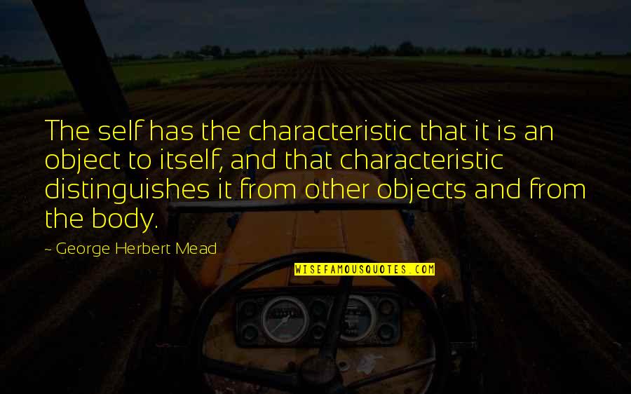 31st December Last Day Of The Year Quotes By George Herbert Mead: The self has the characteristic that it is