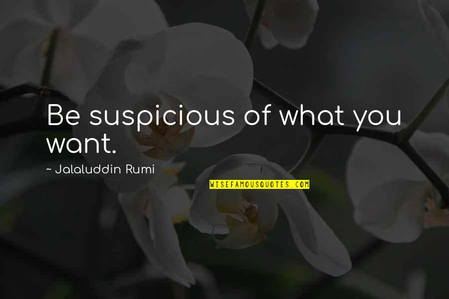 35 Clueless Quotes By Jalaluddin Rumi: Be suspicious of what you want. 35 Clueless Quotes By Jalaluddin Rumi: Be suspicious of what you want.