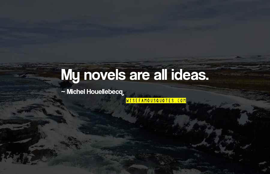 35475 Quotes By Michel Houellebecq: My novels are all ideas.