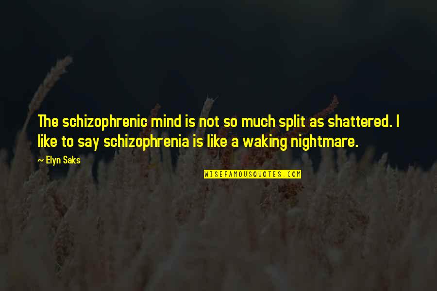 356 Winchester Quotes By Elyn Saks: The schizophrenic mind is not so much split
