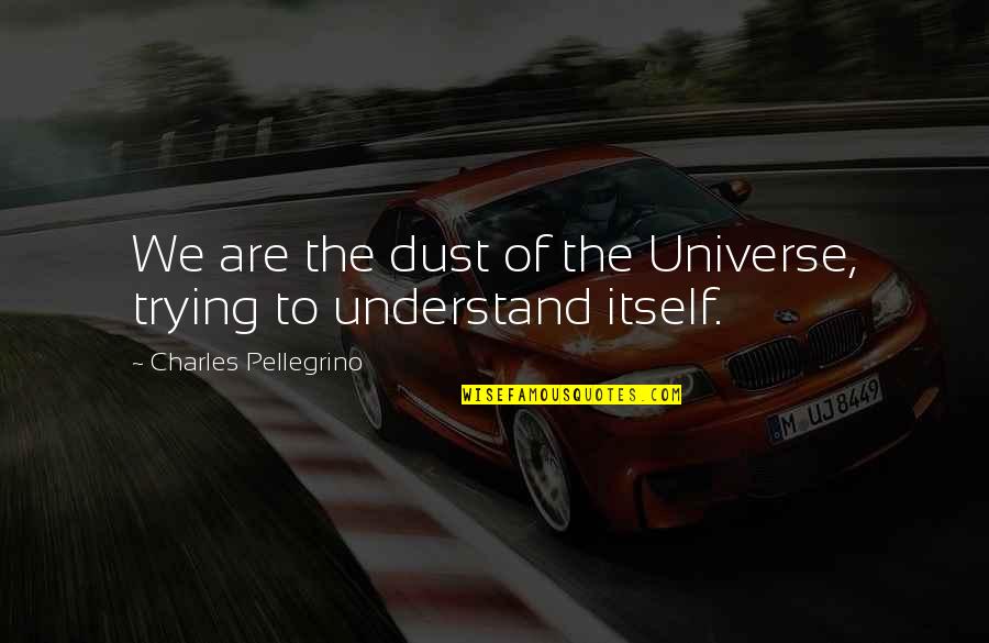365 Chances Quotes By Charles Pellegrino: We are the dust of the Universe, trying