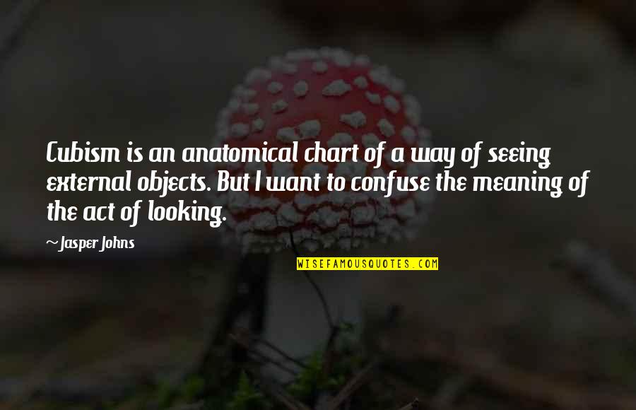 367 Area Quotes By Jasper Johns: Cubism is an anatomical chart of a way