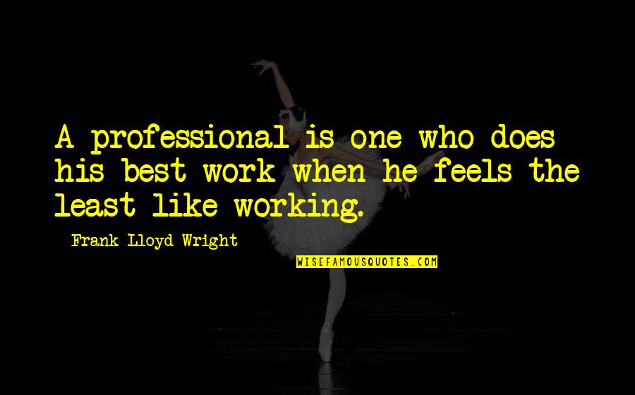 387lm Quotes By Frank Lloyd Wright: A professional is one who does his best