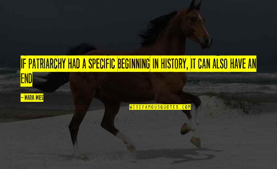 3d Wall Art Quotes By Maria Mies: If patriarchy had a specific beginning in history,