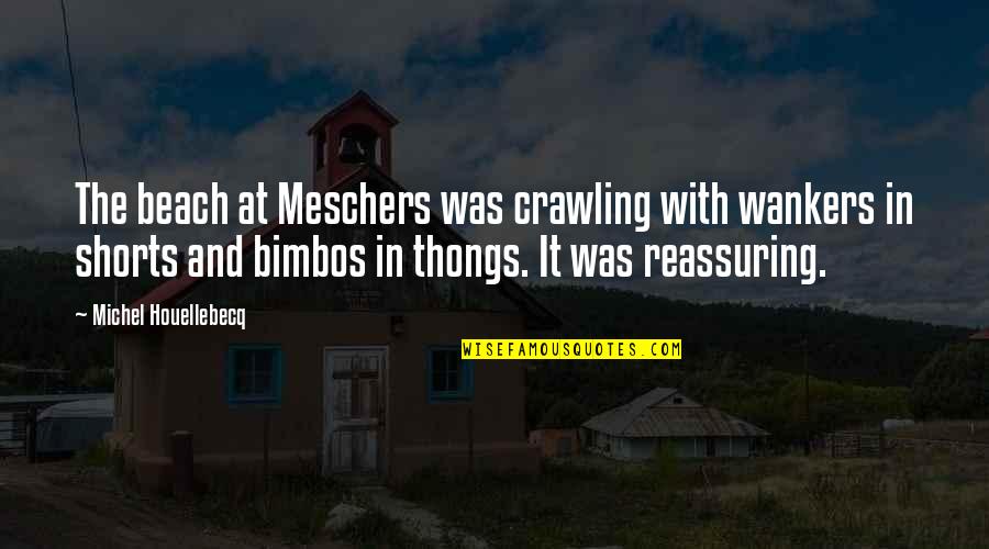 3rd Grade Math Quotes By Michel Houellebecq: The beach at Meschers was crawling with wankers