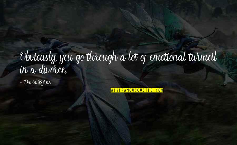 3rd Month Old Baby Quotes By David Byrne: Obviously, you go through a lot of emotional