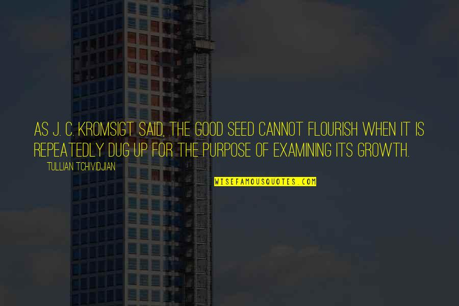 3ten Acl Quotes By Tullian Tchividjian: As J. C. Kromsigt said, The good seed