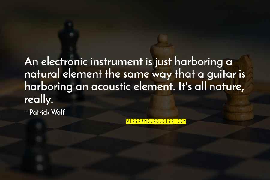 4 Elements Of Nature Quotes By Patrick Wolf: An electronic instrument is just harboring a natural