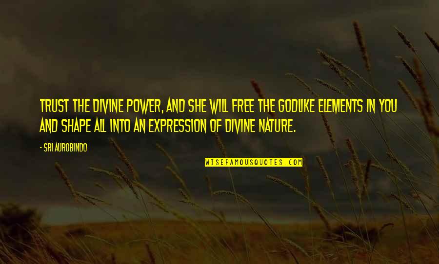 4 Elements Of Nature Quotes By Sri Aurobindo: Trust the divine power, and she will free