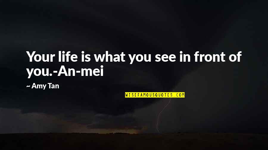4 Mei Quotes By Amy Tan: Your life is what you see in front