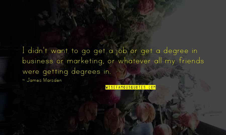 4 P's Of Marketing Quotes By James Marsden: I didn't want to go get a job