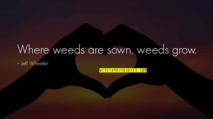 4 Wheeler Quotes By Jeff Wheeler: Where weeds are sown, weeds grow. 4 Wheeler Quotes By Jeff Wheeler: Where weeds are sown, weeds grow.