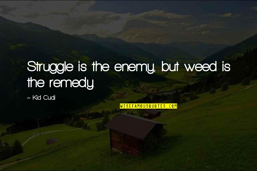 4 Wheeling Quotes By Kid Cudi: Struggle is the enemy, but weed is the
