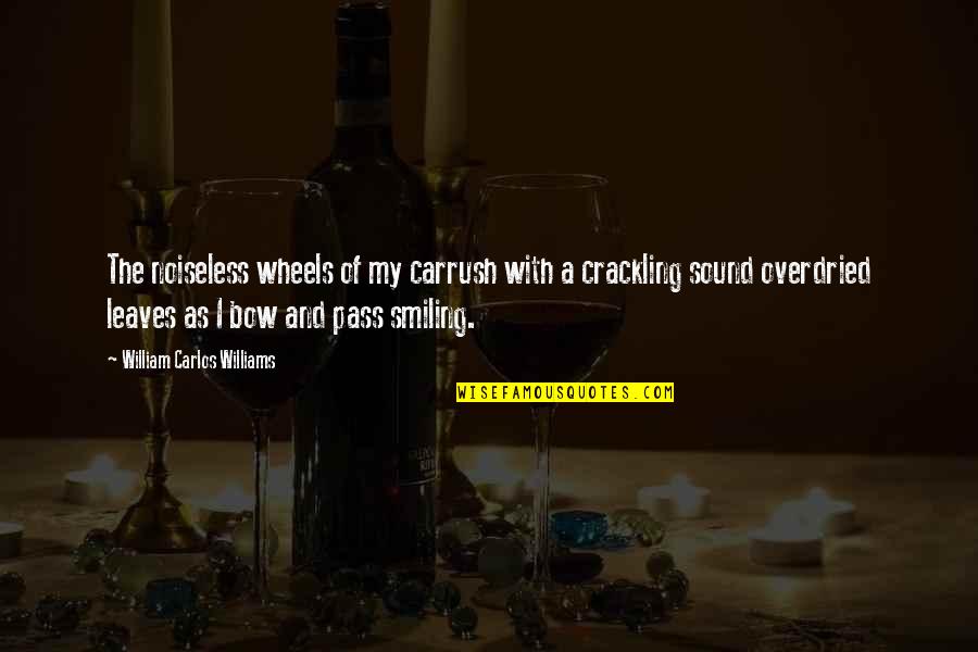 4 Wheels Quotes By William Carlos Williams: The noiseless wheels of my carrush with a