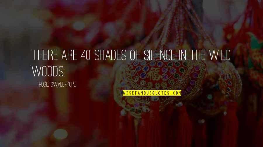 40 Plus Quotes By Rosie Swale-Pope: There are 40 shades of silence in the