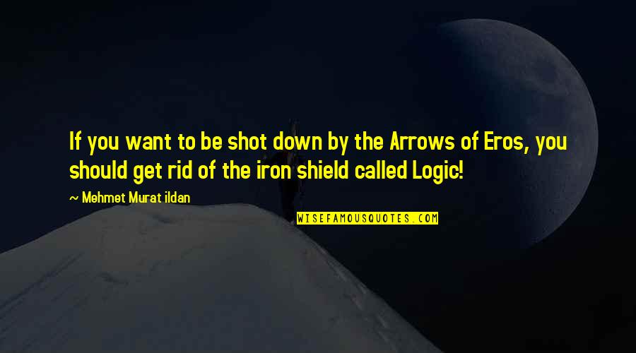 40 Year Old Friendship Quotes By Mehmet Murat Ildan: If you want to be shot down by