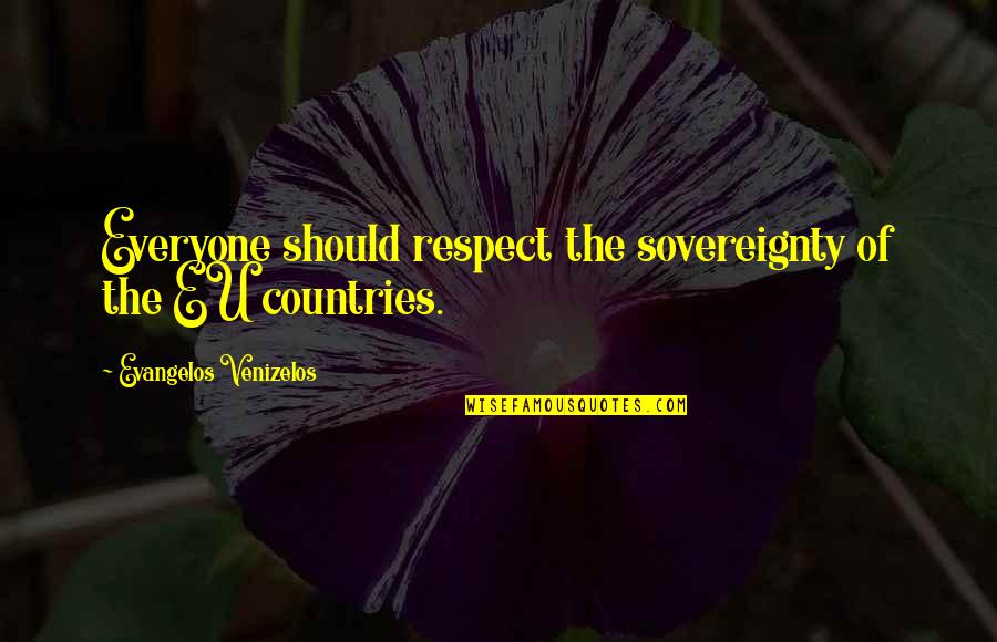 40th Bday Quotes By Evangelos Venizelos: Everyone should respect the sovereignty of the EU