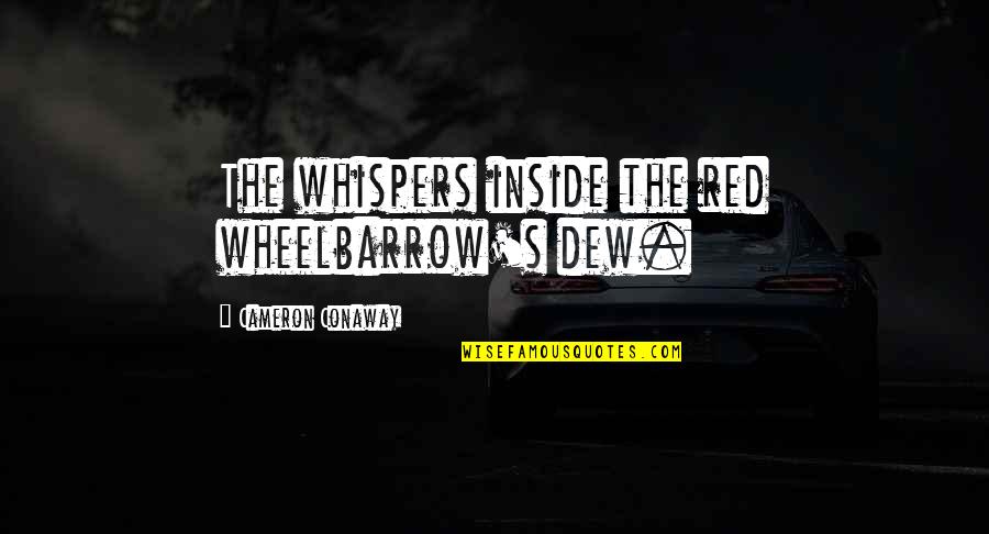 4150 Quotes By Cameron Conaway: The whispers inside the red wheelbarrow's dew.