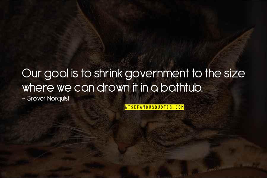 421a Quotes By Grover Norquist: Our goal is to shrink government to the