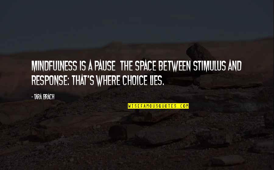 43and Me Quotes By Tara Brach: Mindfulness is a pause the space between stimulus 43and Me Quotes By Tara Brach: Mindfulness is a pause the space between stimulus