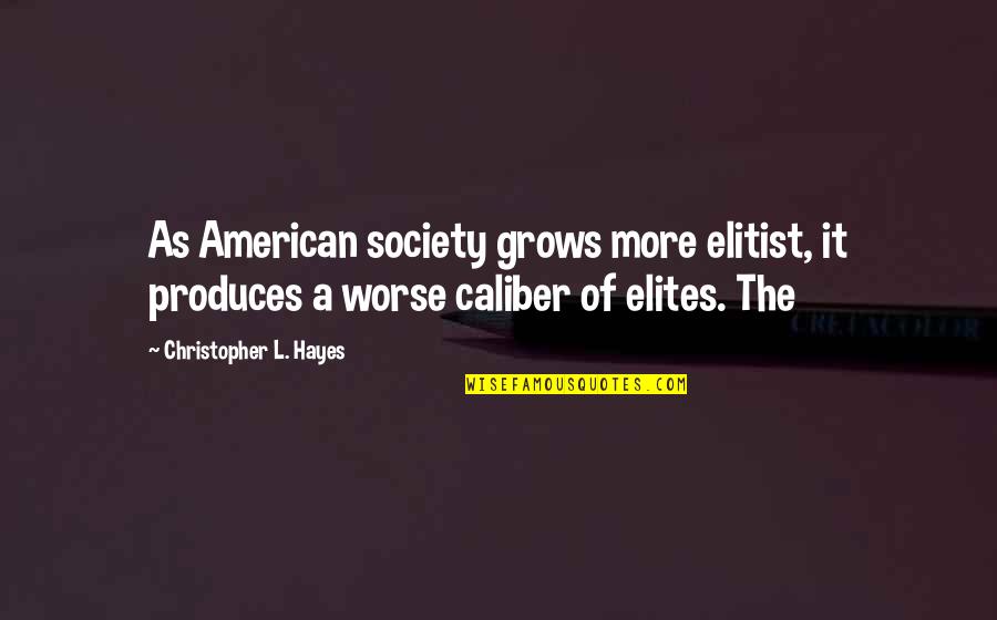 .45 Caliber Quotes By Christopher L. Hayes: As American society grows more elitist, it produces