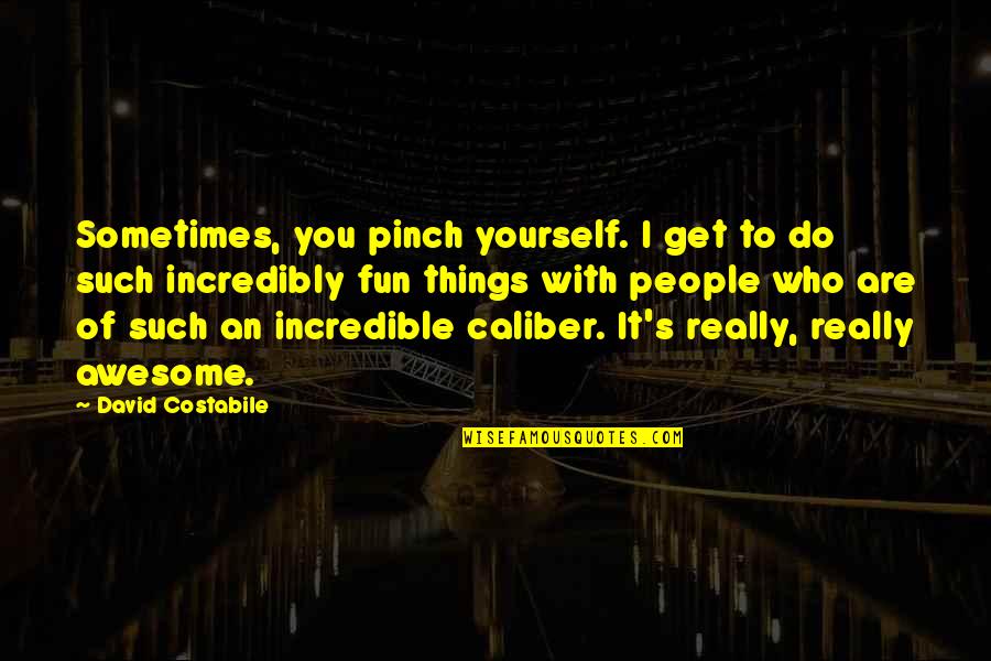 .45 Caliber Quotes By David Costabile: Sometimes, you pinch yourself. I get to do