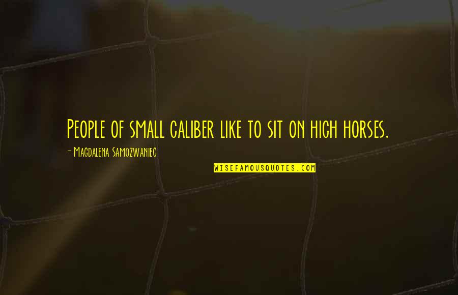 .45 Caliber Quotes By Magdalena Samozwaniec: People of small caliber like to sit on