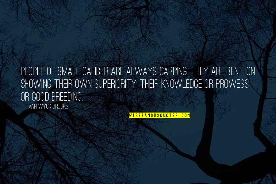 .45 Caliber Quotes By Van Wyck Brooks: People of small caliber are always carping. They