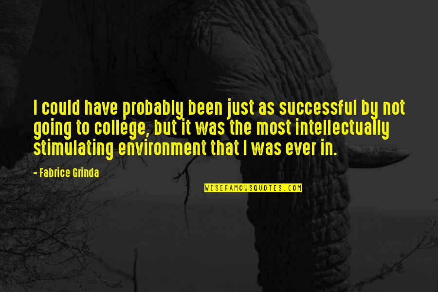 45 Incredible Quotes By Fabrice Grinda: I could have probably been just as successful