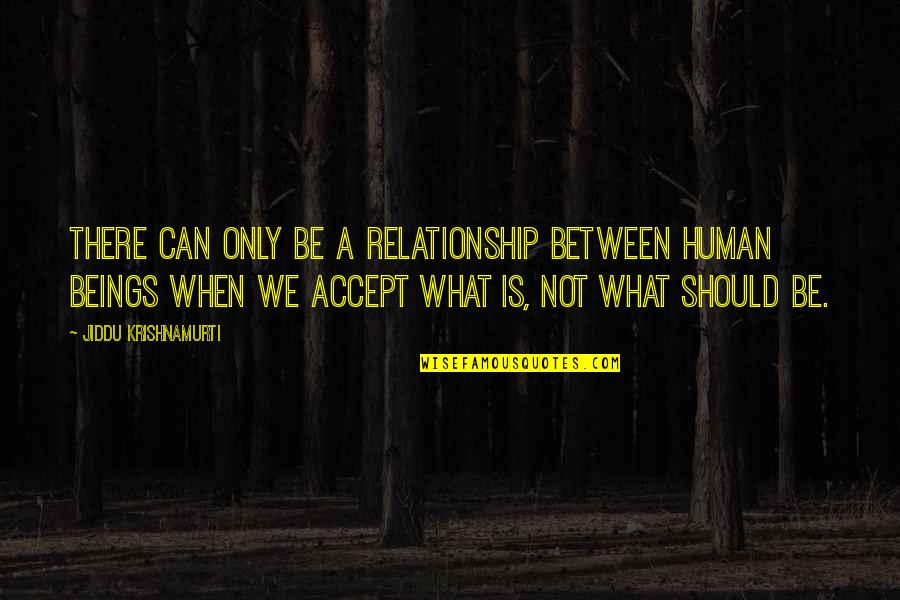 45th Bday Quotes By Jiddu Krishnamurti: There can only be a relationship between human