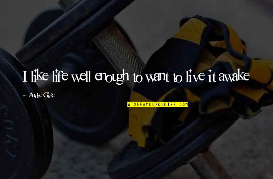 4747 Quotes By Andre Gide: I like life well enough to want to