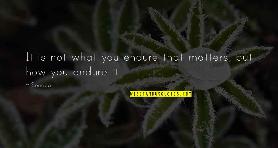 491 Days Quotes By Seneca.: It is not what you endure that matters,