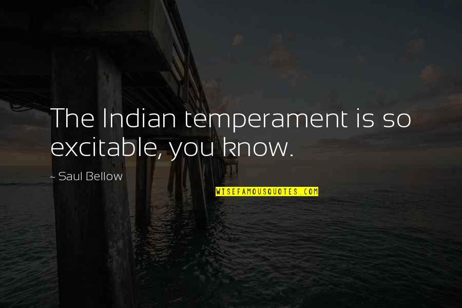 4wding Quotes By Saul Bellow: The Indian temperament is so excitable, you know.