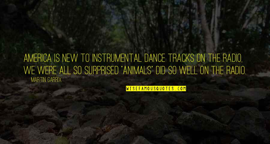 5 Cm Per Second Quotes By Martin Garrix: America is new to instrumental dance tracks on
