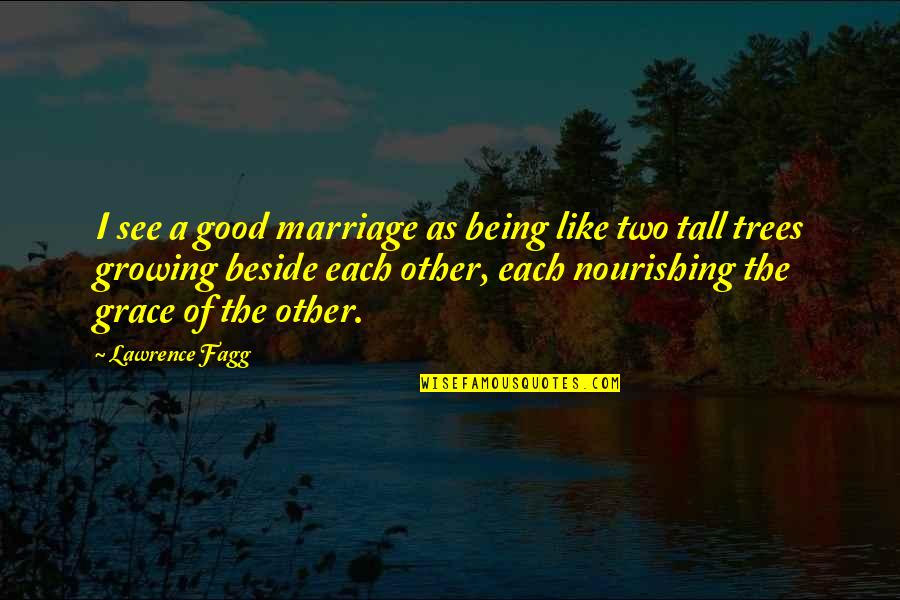 5 Years Complete Relationship Quotes By Lawrence Fagg: I see a good marriage as being like