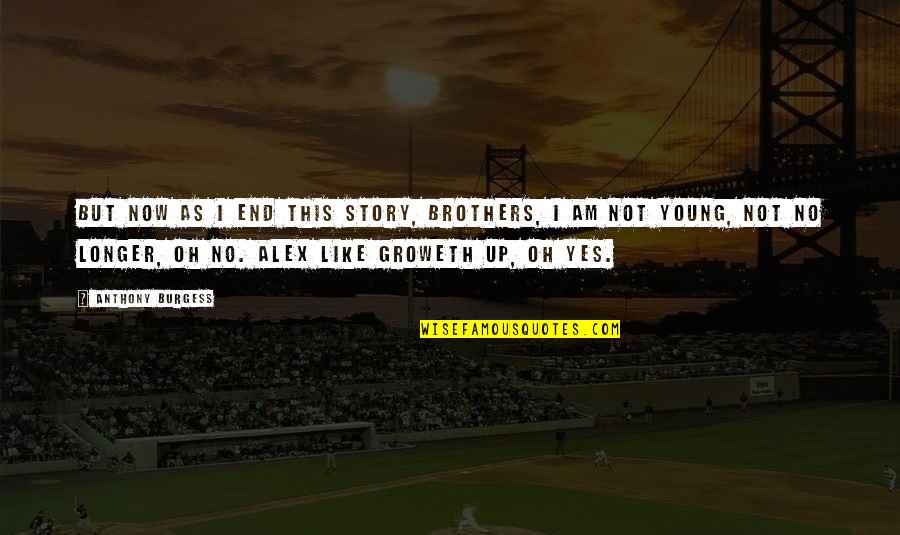 50 Greatest Baseball Quotes By Anthony Burgess: But now as I end this story, brothers,