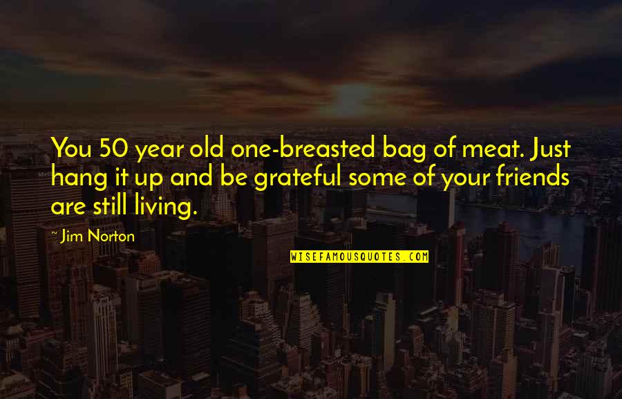 50 Year Quotes By Jim Norton: You 50 year old one-breasted bag of meat.