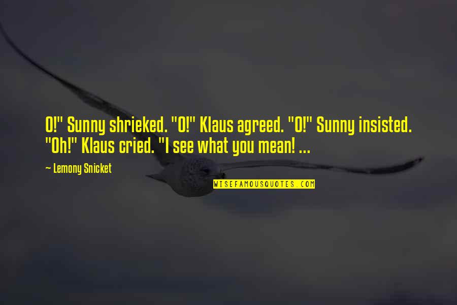 5033459399 Quotes By Lemony Snicket: O!" Sunny shrieked. "O!" Klaus agreed. "O!" Sunny