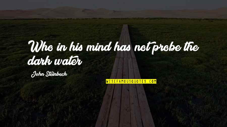 52 Best Ever Success Quotes By John Steinbeck: Who in his mind has not probe the